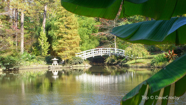 Sarah P. Duke Gardens