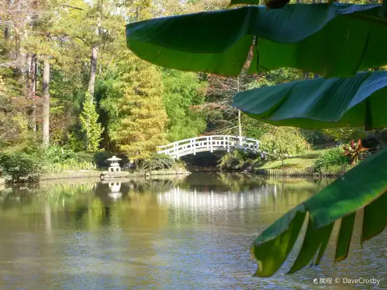Hotels near Sarah P. Duke Gardens