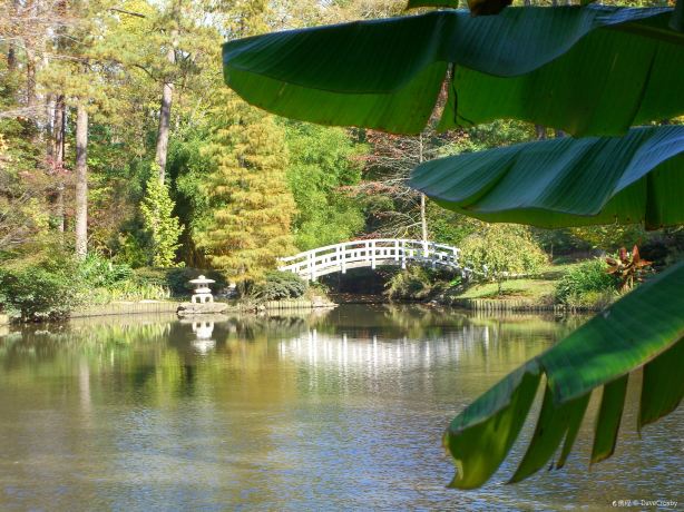 Sarah P. Duke Gardens