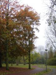 Beatrixpark