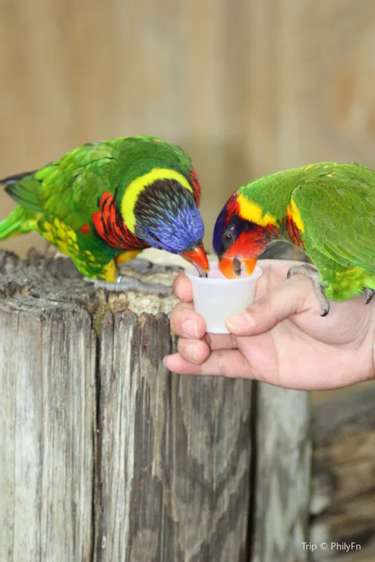 2_San Antonio Zoo