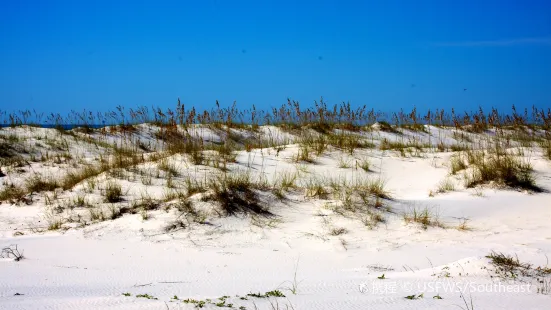 Bon Secour National Wildlife Refuge