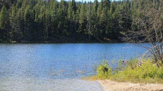 Curlew Lake State Park