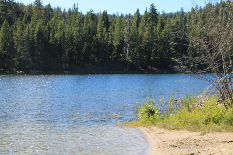 Curlew Lake State Park