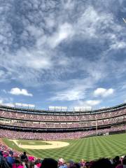 Globe Life Park