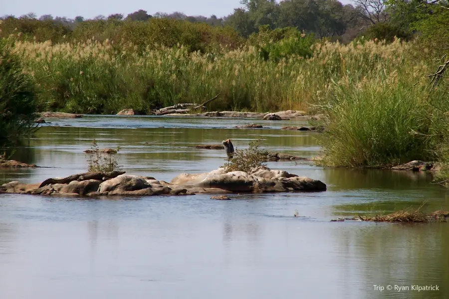 Wildlife Safari