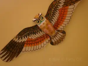 World Kite Museum & Hall-Fame