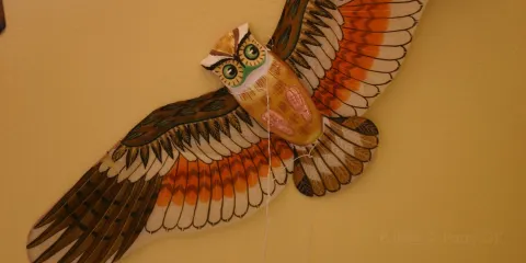 World Kite Museum & Hall of Fame