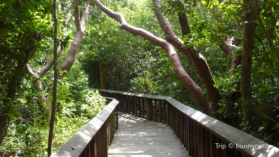 Gumbo Limbo Nature Center