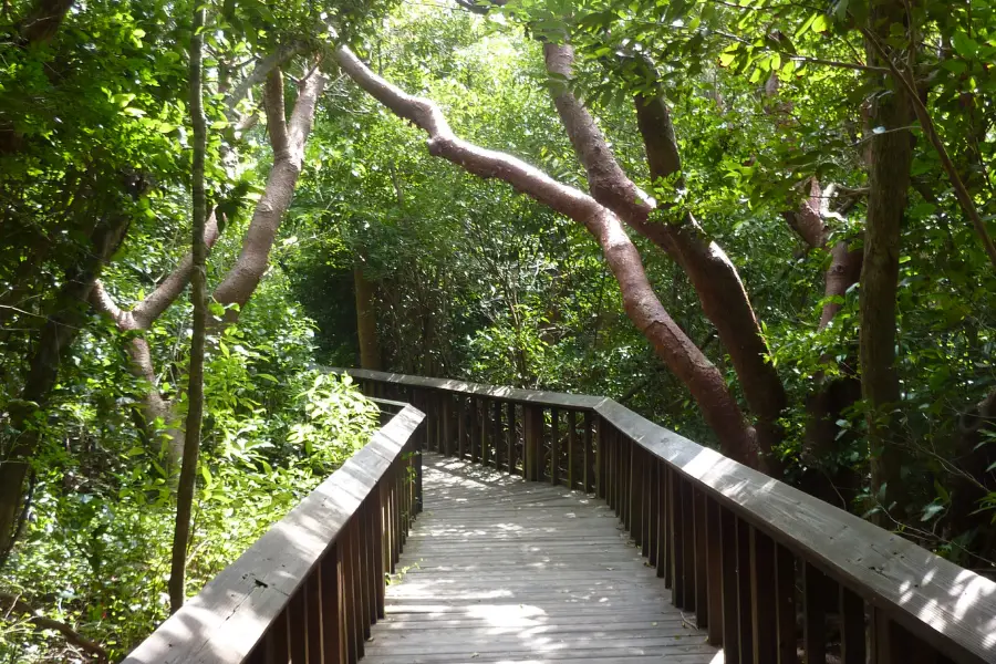 Gumbo Limbo Nature Center