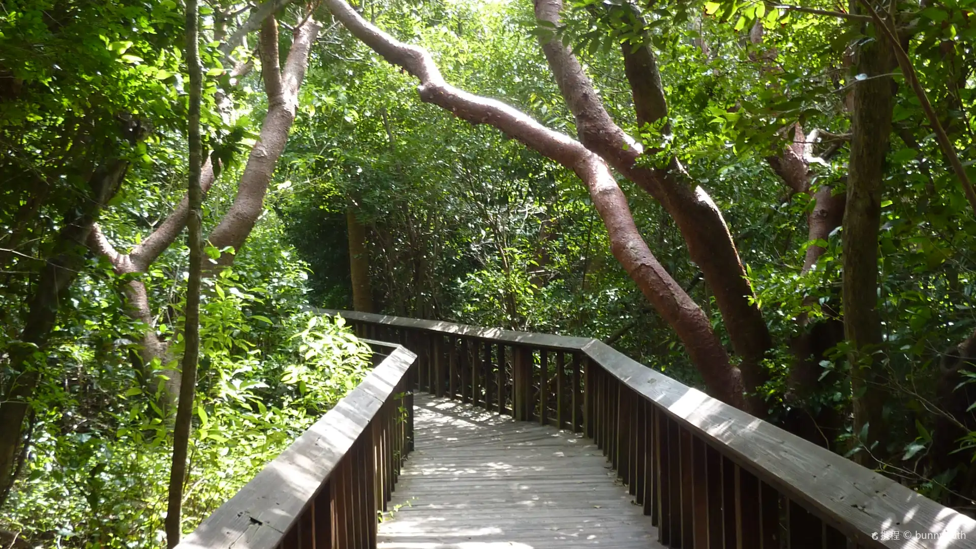 Hotels near Gumbo Limbo Nature Center
