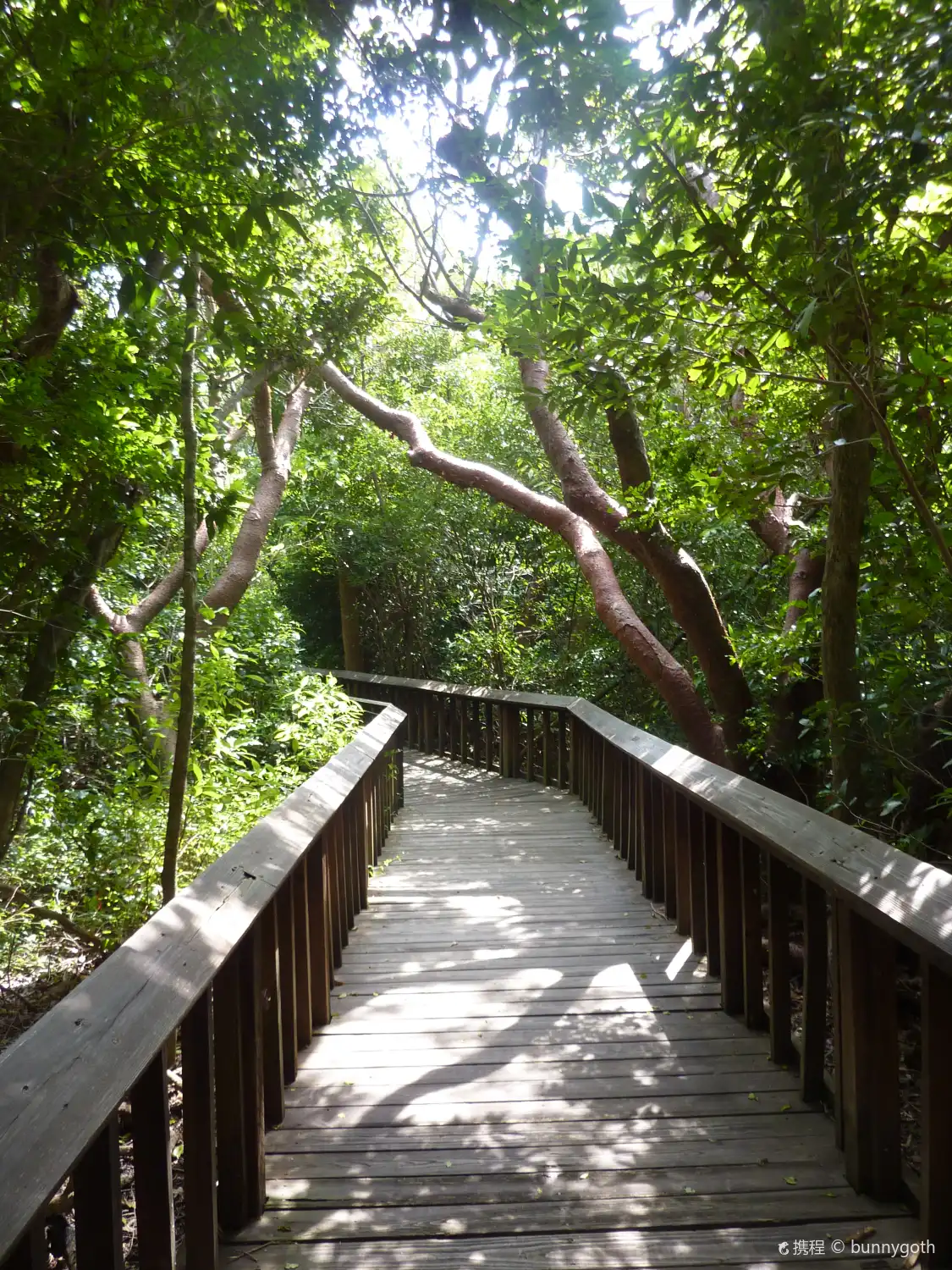 Hotels near Gumbo Limbo Nature Center