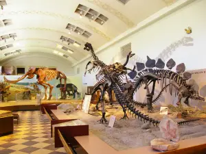 Музей естественной истории штата Юта