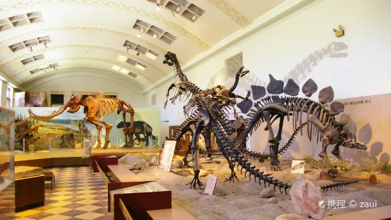 Natural History Museum of Utah