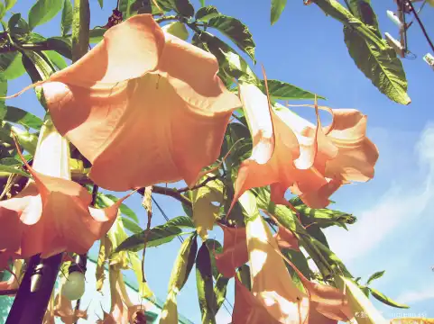 Hotels near The Velaslavasay Panorama