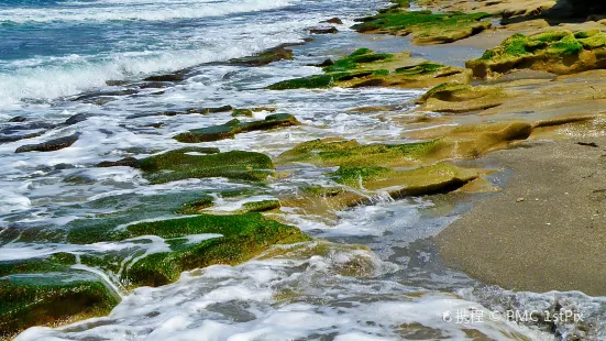 The Nature Conservancy Blowing Rocks Preserve