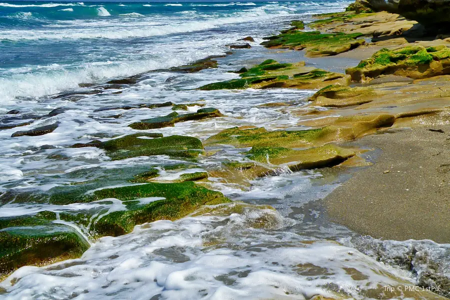 The Nature Conservancy Blowing Rocks Preserve