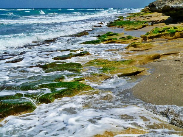Blowing Rocks Preserve