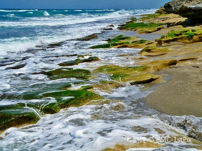 Blowing Rocks Preserve