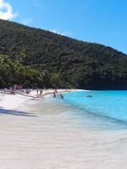 Trunk Bay