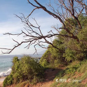 Little Beach