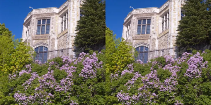 加拿大皇家造幣廠