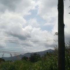 桂港海鮮城張用戶圖片