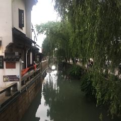 Song helou User Photo