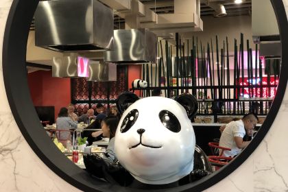 DaLongYi Hot Pot 大龙燚火锅