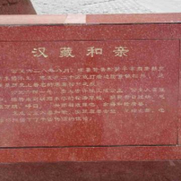 評論圖片 9