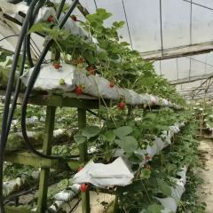 Water Cress Valley User Photo