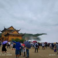 評論圖片 5