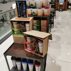 Starbucks (changlejichang) User Photo