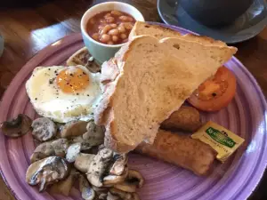 The Cafe at Number 16