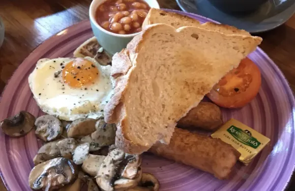 The Cafe at Number 16