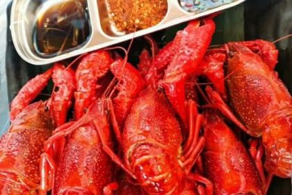 合江镇东山天一休闲庄