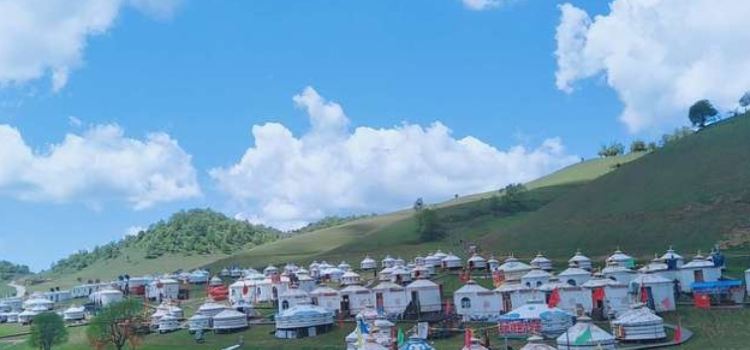 关山牧场老五烤全羊烤羊腿