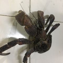 City Extra Seafood Restaurant 여행 사진