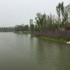 Yingchun Restaurant User Photo