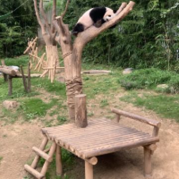 評論圖片 6