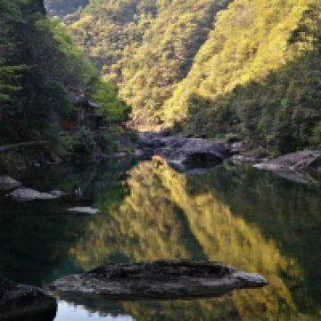 評論圖片 3