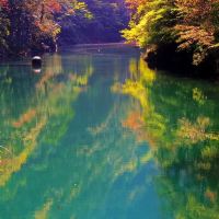 評論圖片 7