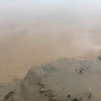 評論圖片 2