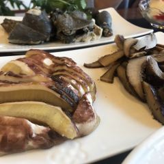 菌齐彩菇 User Photo