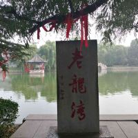 評論圖片 1