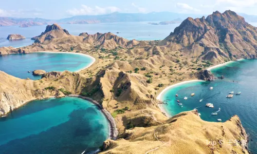 Parco nazionale di Komodo