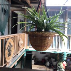 半月里畲家土菜馆 User Photo