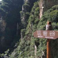 評論圖片 7