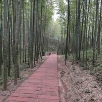 評論圖片 3