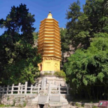 評論圖片 5